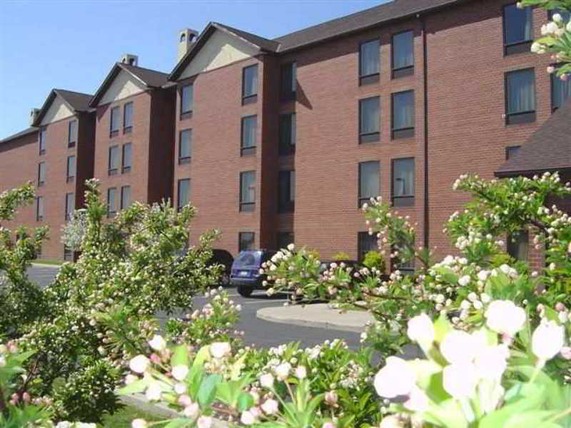 Hampton Inn & Suites Cleveland-Airport/מידלברג הייטס מראה חיצוני תמונה